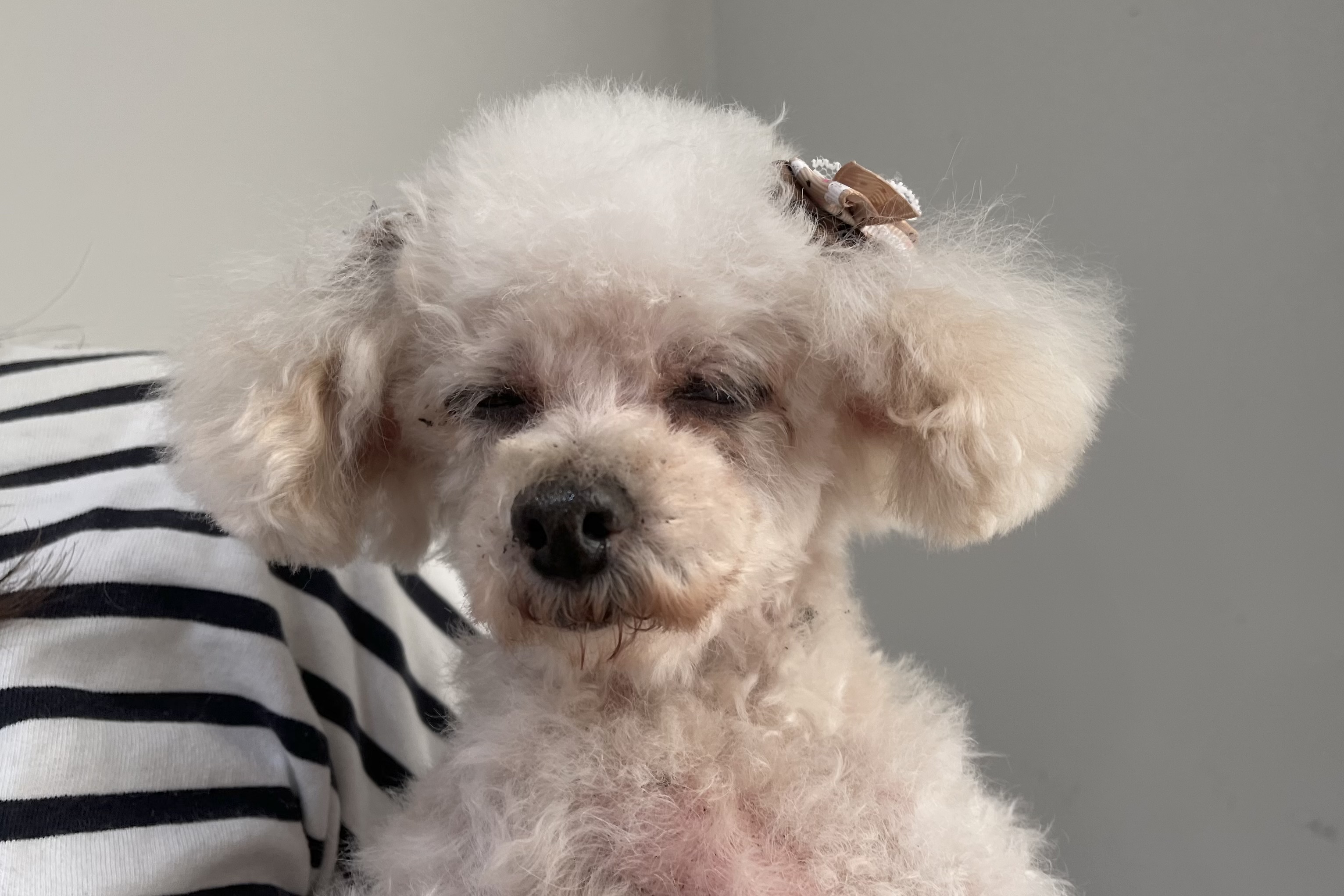 IMG_7109