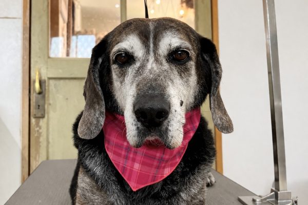 181F7475-F120-4B70-AE34-24162D9D19C4