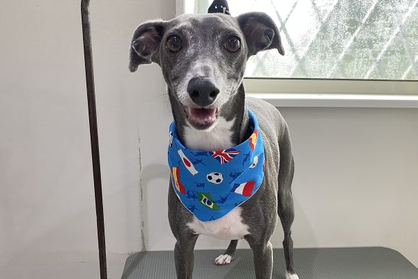 1_IMG_0086
