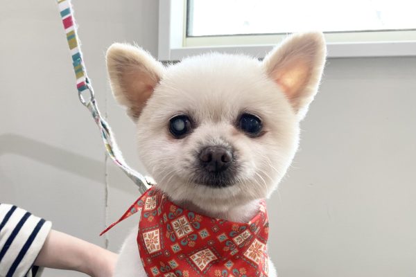 1_IMG_3741