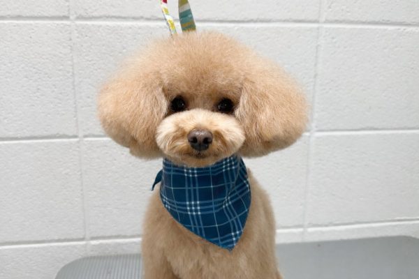 29D01B20-1E42-47F9-AC34-28A760515DAD