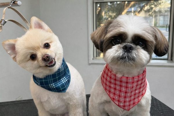 CB458BE5-B909-49B4-AD0B-7E017060566F