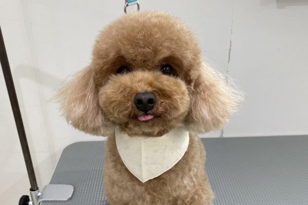 IMG_1150