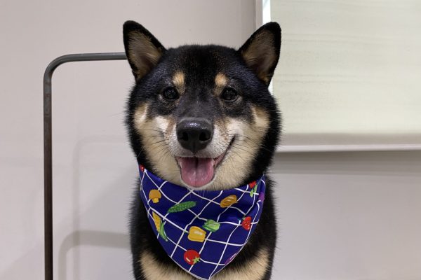 IMG_5787