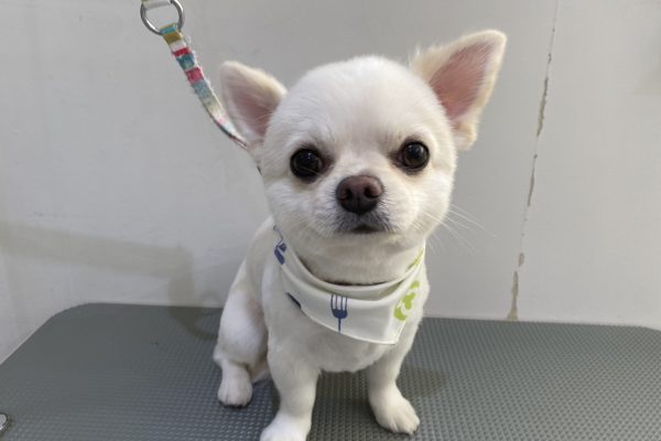 IMG_9194