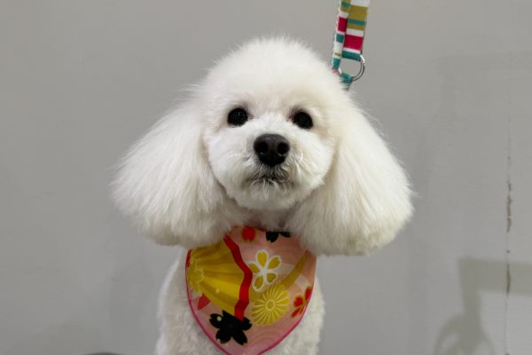 f70bd4c5a49b97b144a59e5e8a931553